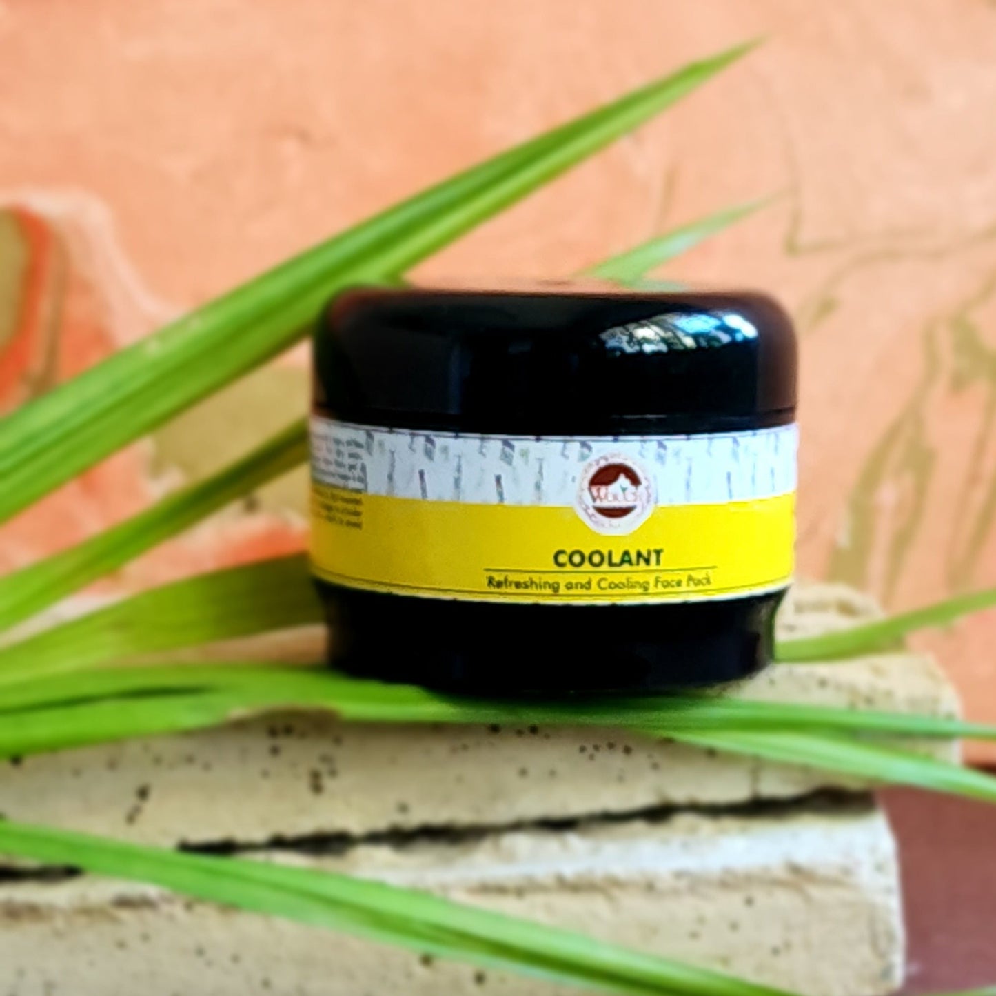coolant face pack, soothing face pack, refreshing face mask, cooling face pack, hydrating face pack, skin-calming face mask, natural coolant face pack, cooling mask for skin, anti-inflammatory face pack, refreshing skin treatment, deep cleansing face pack, cooling face mask for glowing skin, gentle face pack, revitalizing face mask, face pack for sensitive skin, organic face pack, skin-rejuvenating mask, face pack for acne-prone skin, skin-soothing face mask, face pack for sunburn relief